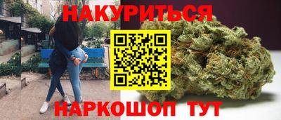 прущие грибы Владивосток