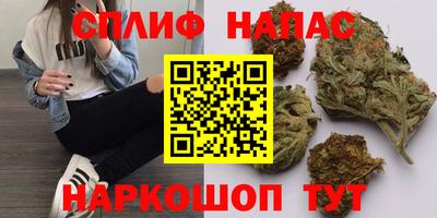 прущие грибы Владивосток