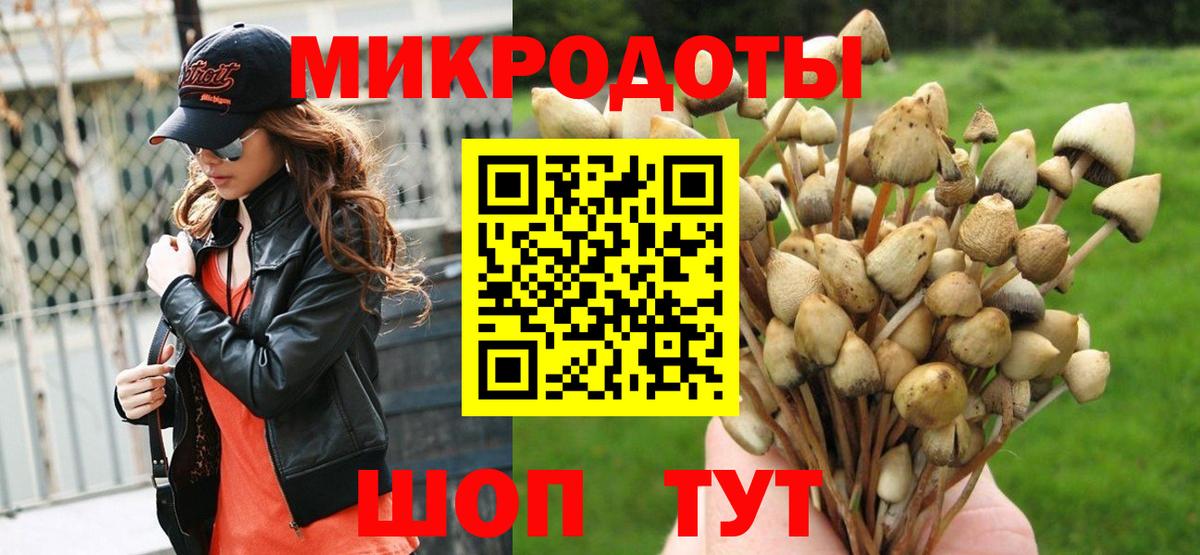 Новый Уренгой  Галлюциногенные грибы Psilocybe  Вход с VPN 