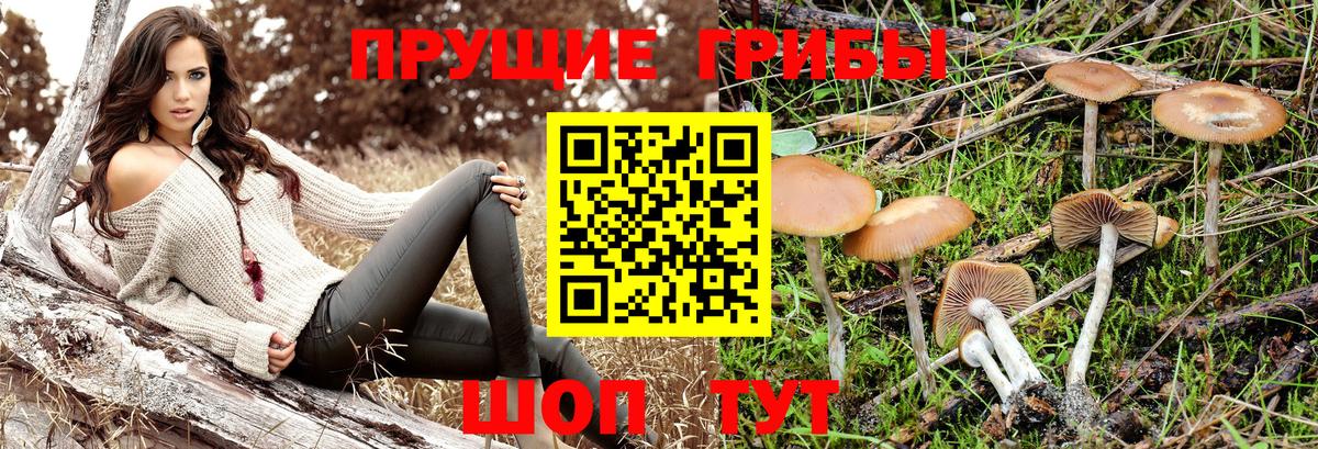 Псилоцибиновые грибы мицелий Новый Уренгой
