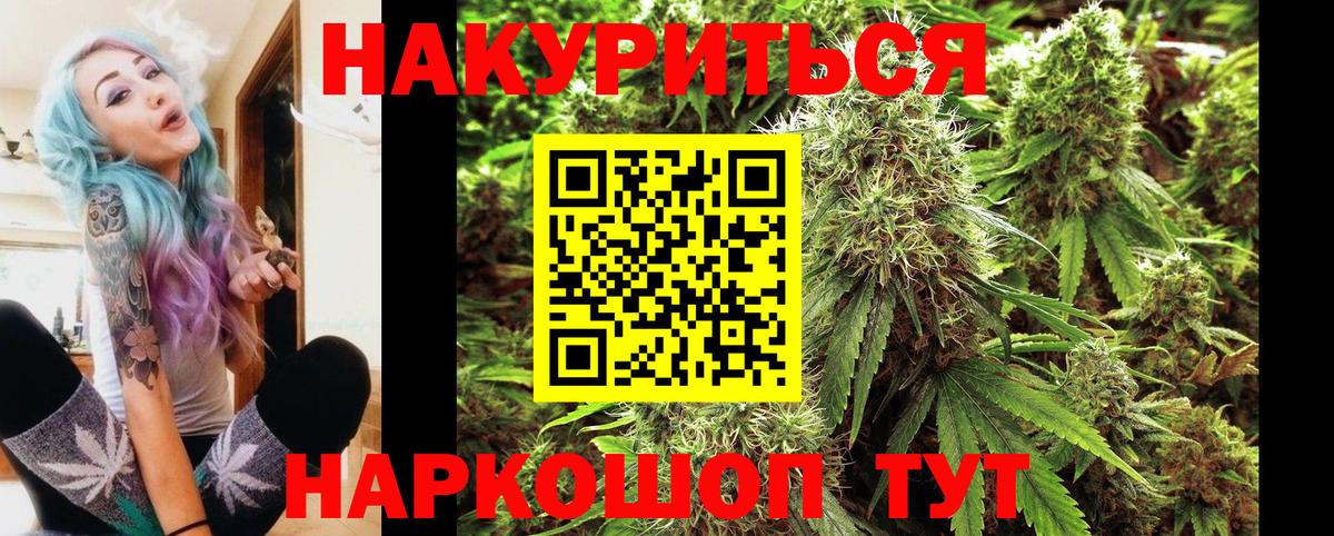 Каннабис план Новый Уренгой